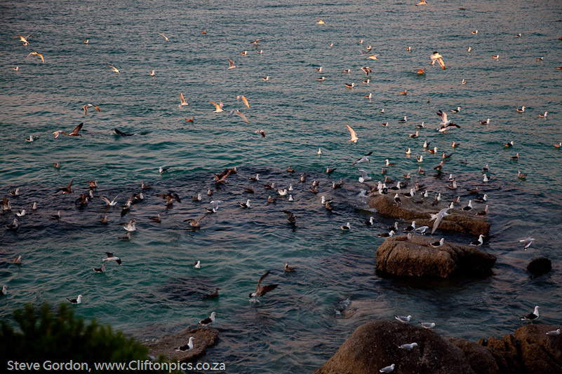 inshore