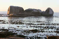 Duikers' Rock - Clifton's Icon, and heart of the marine reserve