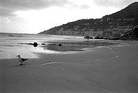 Winter Beaches, Seas and Skies